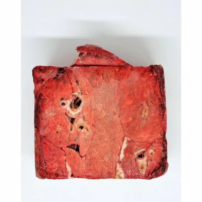 

FRESH STOK PARU SAPI IMPORT LUNG FROZEN KEMASAN 1 KG