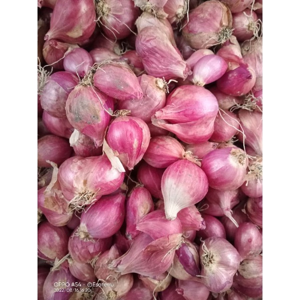 

Bawang Merah Kering