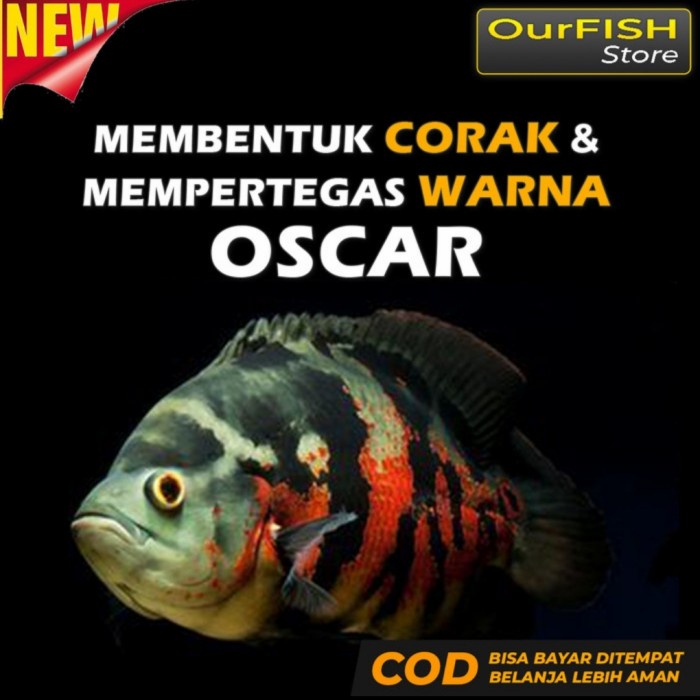 Red Oscar - Pelet Oscar Premium Tiger Albino Batik