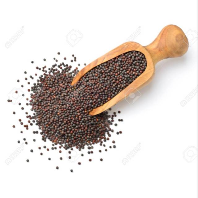 

Biji Sawi / Mustard Seeds
