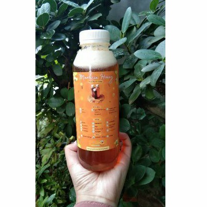 

Madu Randu kemasan botol 500ml (+-650gr) 100℅ murni