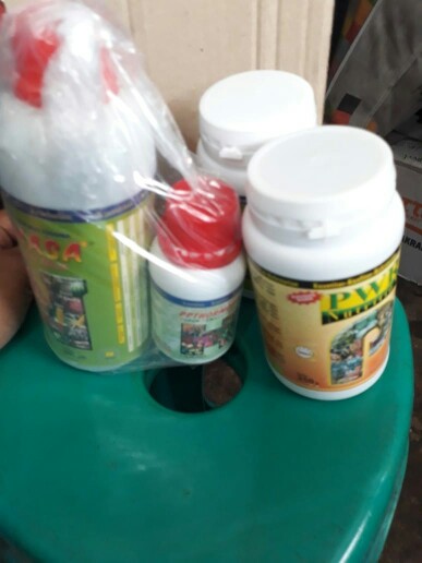 Paket Pupuk Pelebat Perangsang Buah Organik/powernutrition Hormonik Supernasa/ Agen Pusat