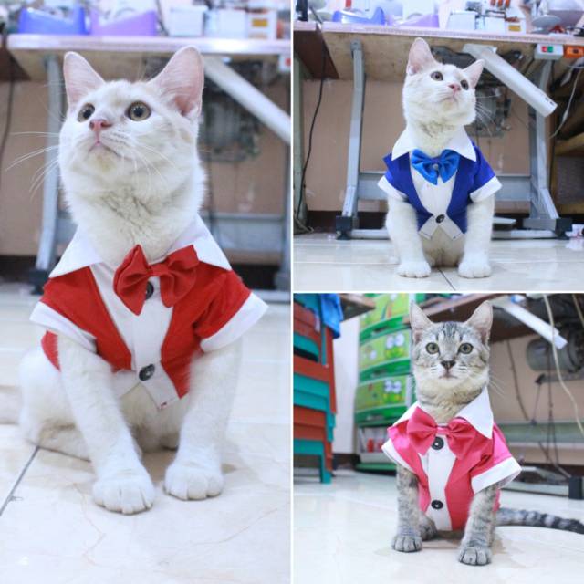 Baju kucing dropship pilih dulu sebelum memesan / baju kucing dan anjing murah size S-XL