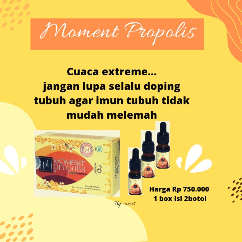 propolis moment produk original