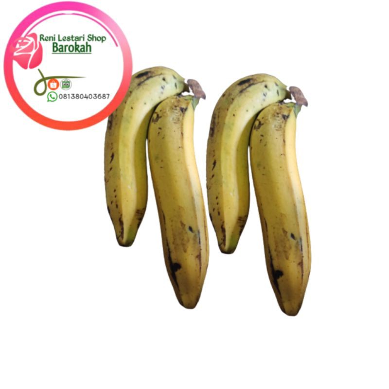 

Pisang Ambon