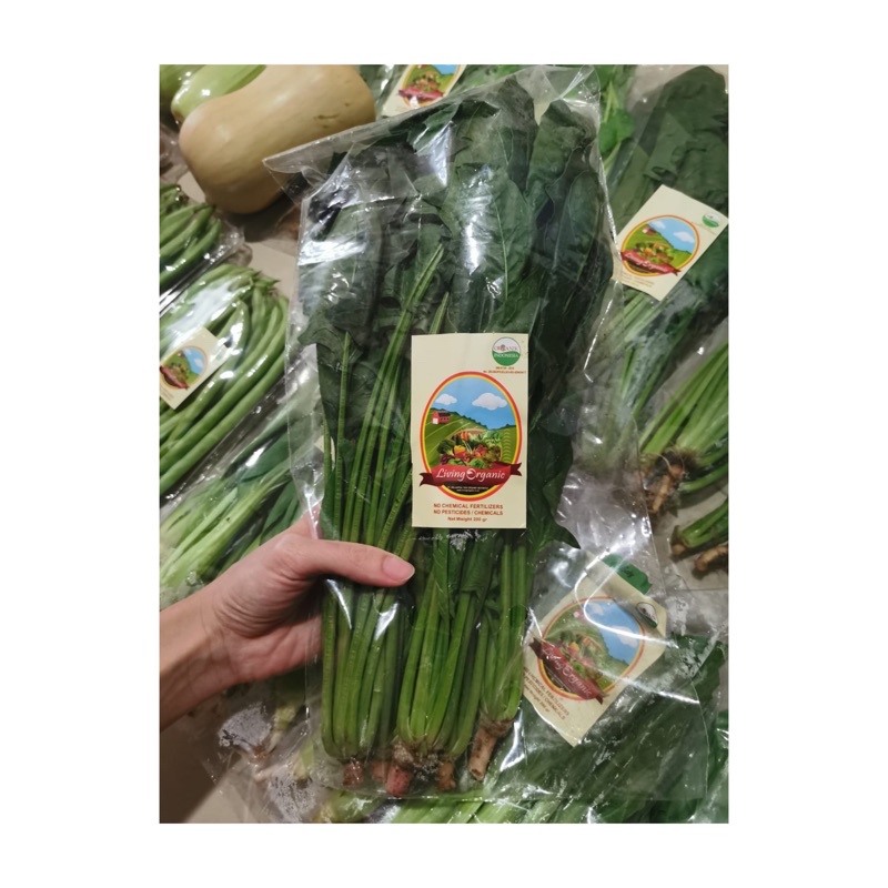 

Horenzo, Bayam Jepang || 200 gr || Sayuran Organik