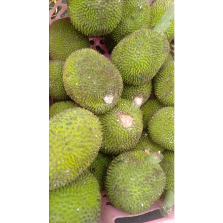 

Sayur Kluwih Keluwih untuk selamatan