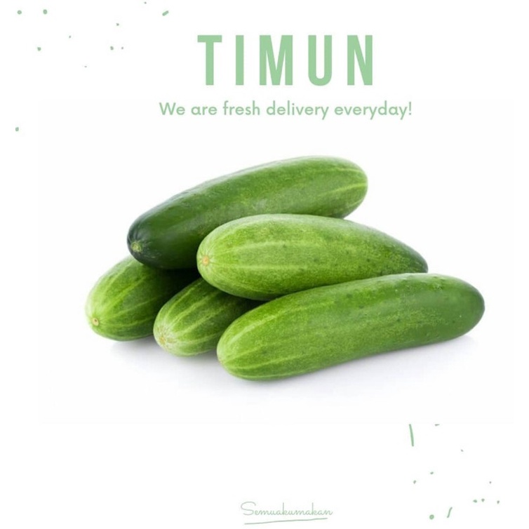 

Timun