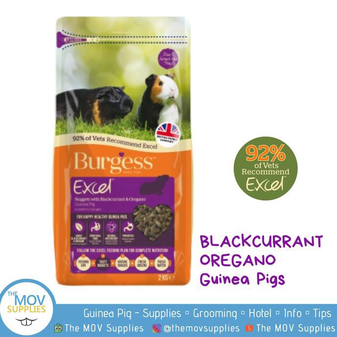 

Burgess Guinea Pig Nuggets Blackcurrant