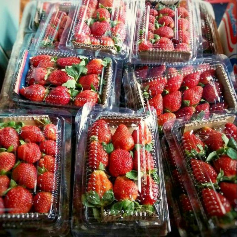 

Buah Strawberry Premium Super Segar