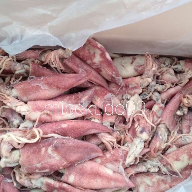 

CUMI ASIN 1 KG UKURAN SEDANG / SALTED SQUID / SOTONG CUMICUMI
