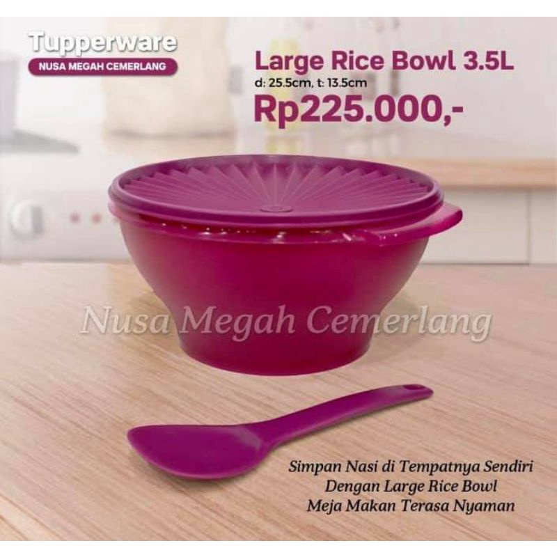 Large Rice bowl tupperware tempat nasi