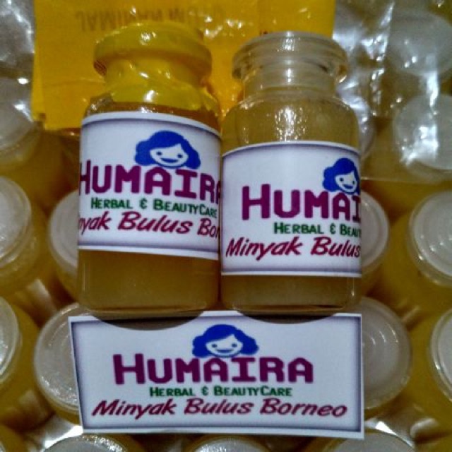 Minyak bulus humaira asli borneo kalimantan