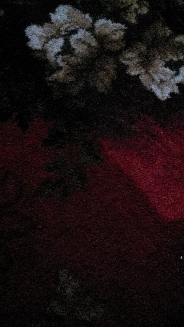 Inflator And Gauge Kit / Alat Pengukur Tekanan Ban Dan Isi Angin Ban Picasso