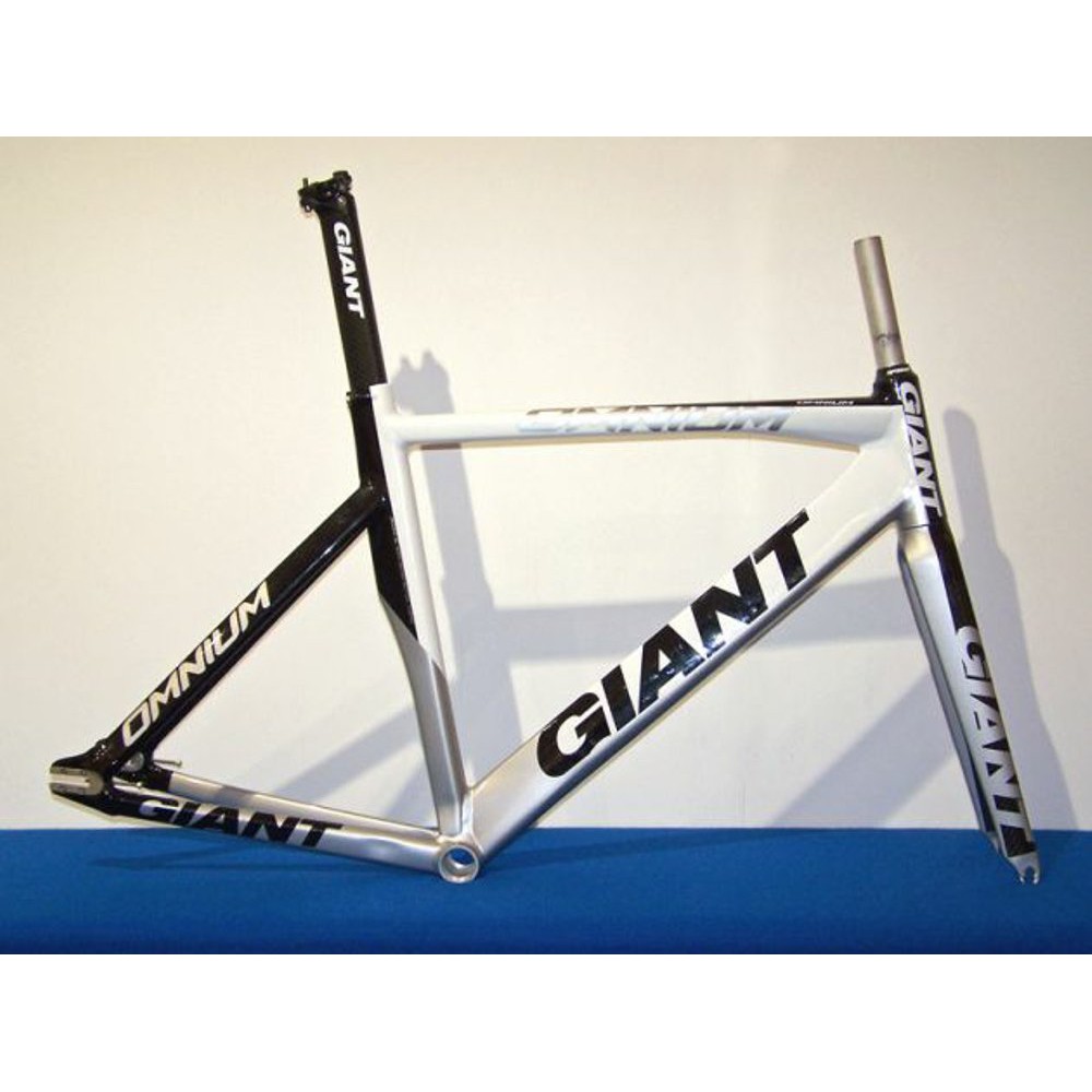 giant fixed gear bike
