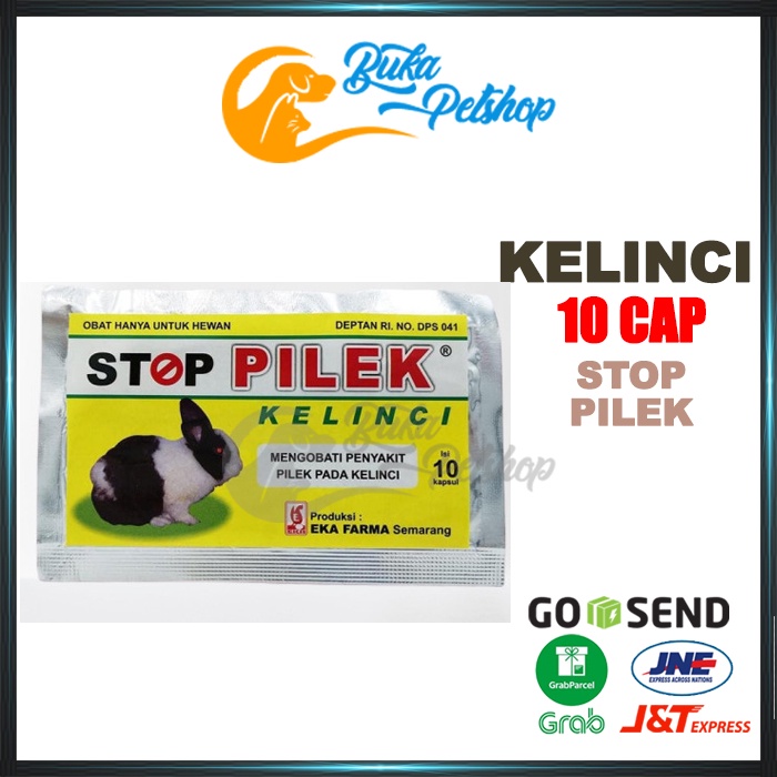 Obat Pilek Kelinci Obat Flu Kelinci 10 Kapsul