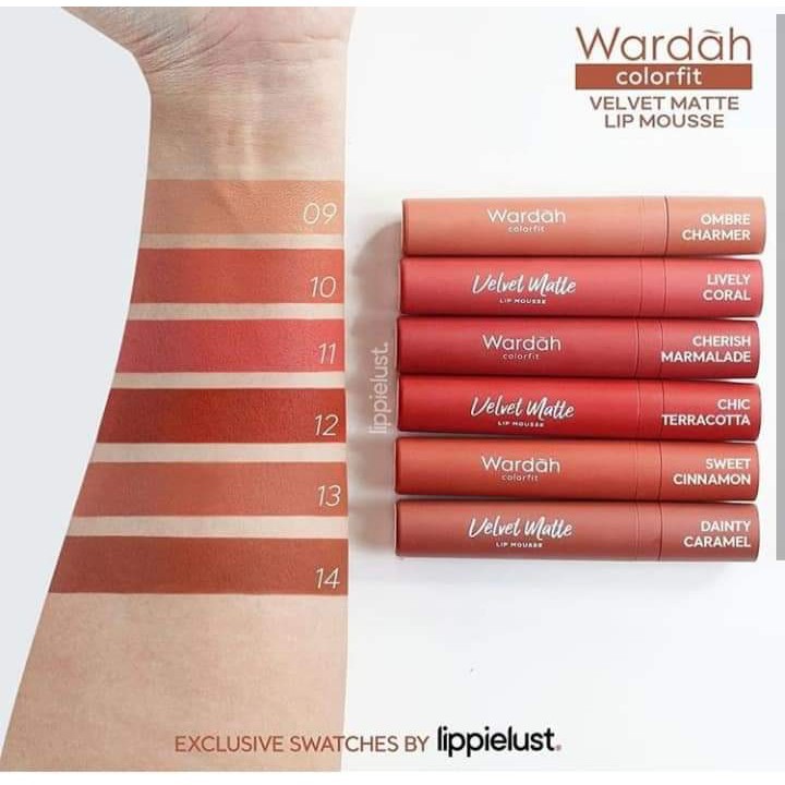 Wardah Colorfit Velvet Matte Lip Mousse