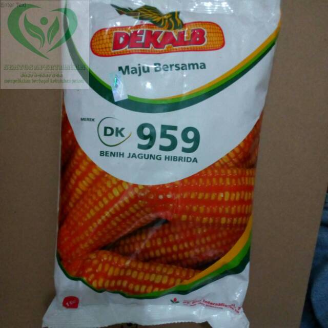 benih jagung DK959 1kg