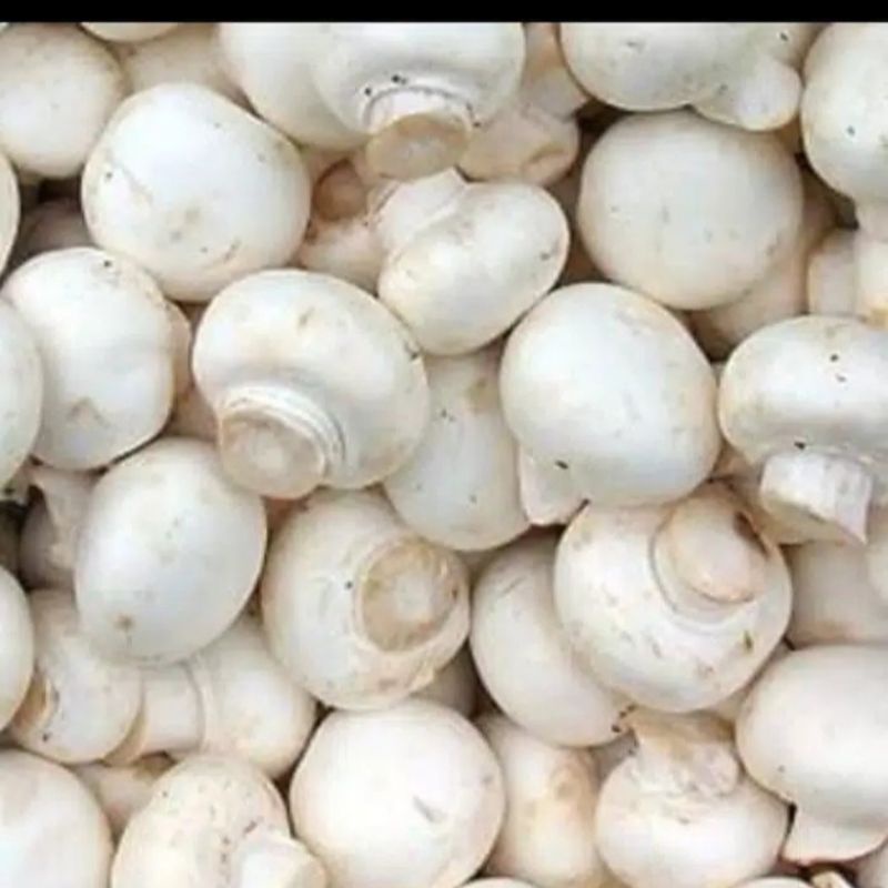 

Jamur champinyon 250 gram