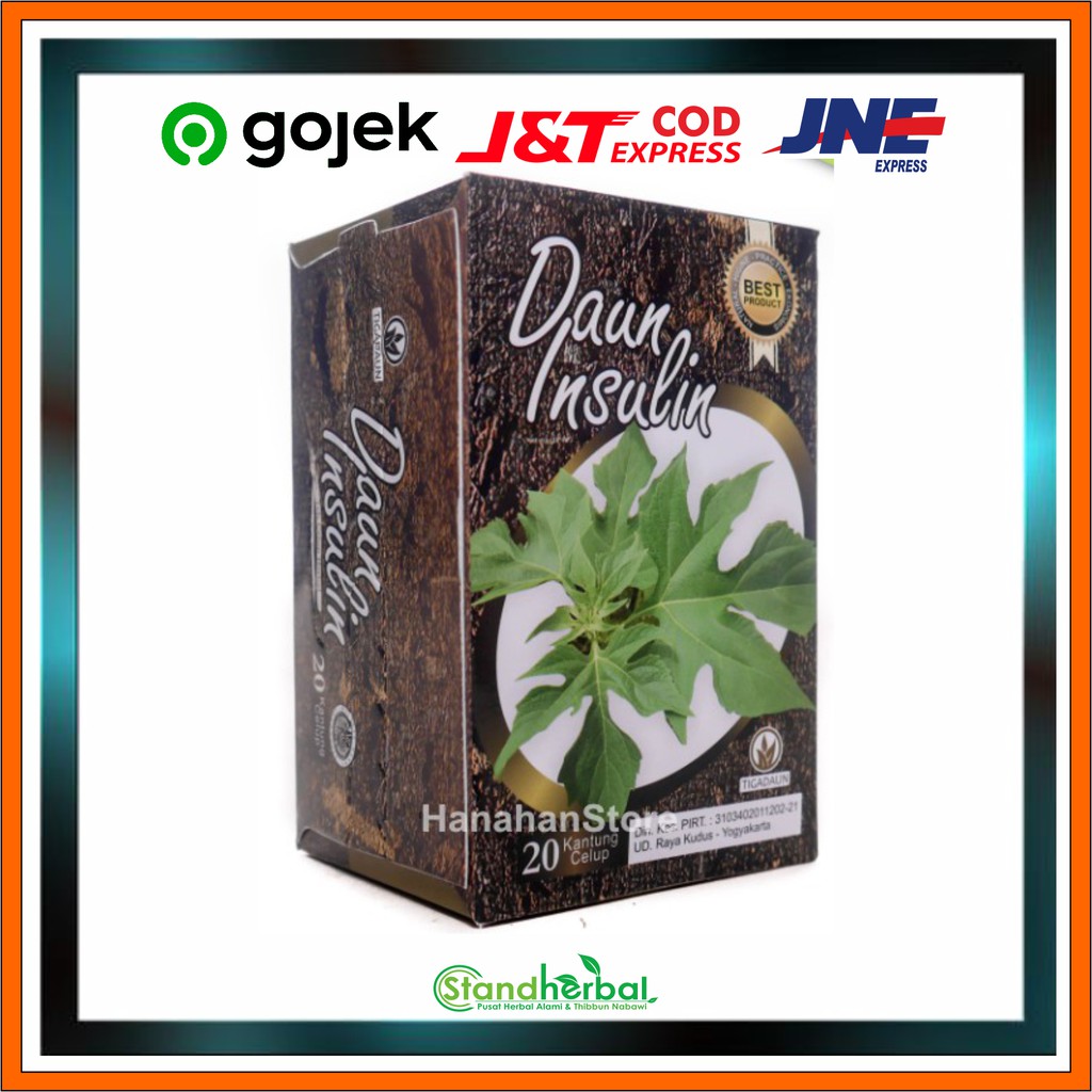 

teh daun insulin diabetes dan kencing manis