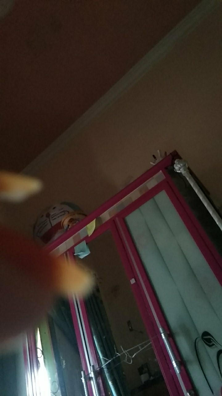 Tissue Paseo Smart 250s 2 Ply