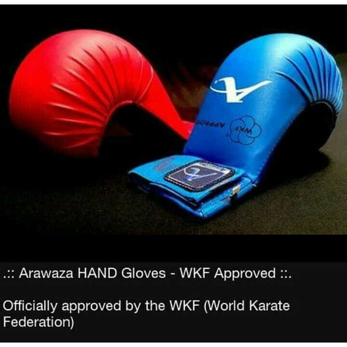 RB HAND PRO KARATE arawaza hand protector WKF APPROVED