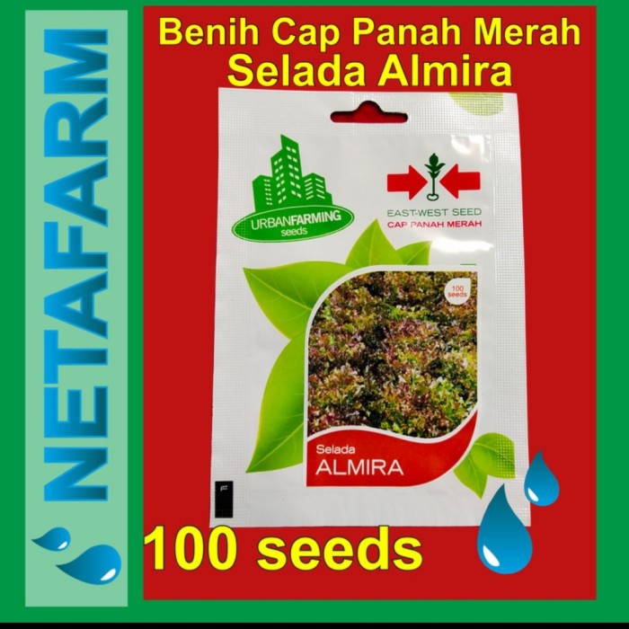 BENIH SELADA ALMIRA - CAP PANAH MERAH