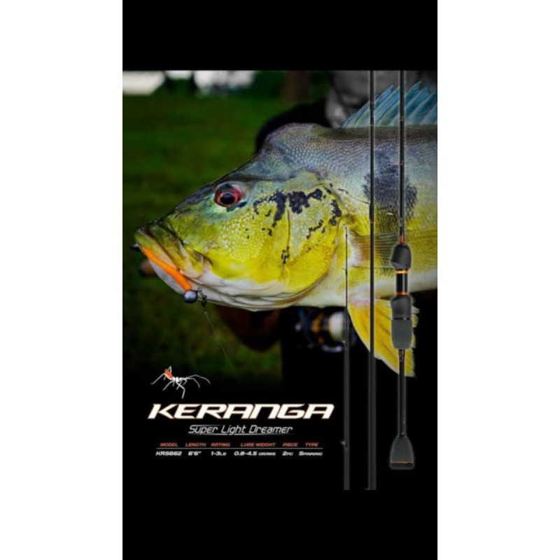 joran spinning rapala keranga 1-3lb