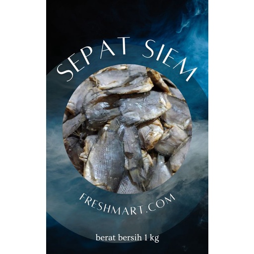 

GROSIR IKAN ASIN SEPAT KWALITAS PREMIUM TANPA PORMALIN