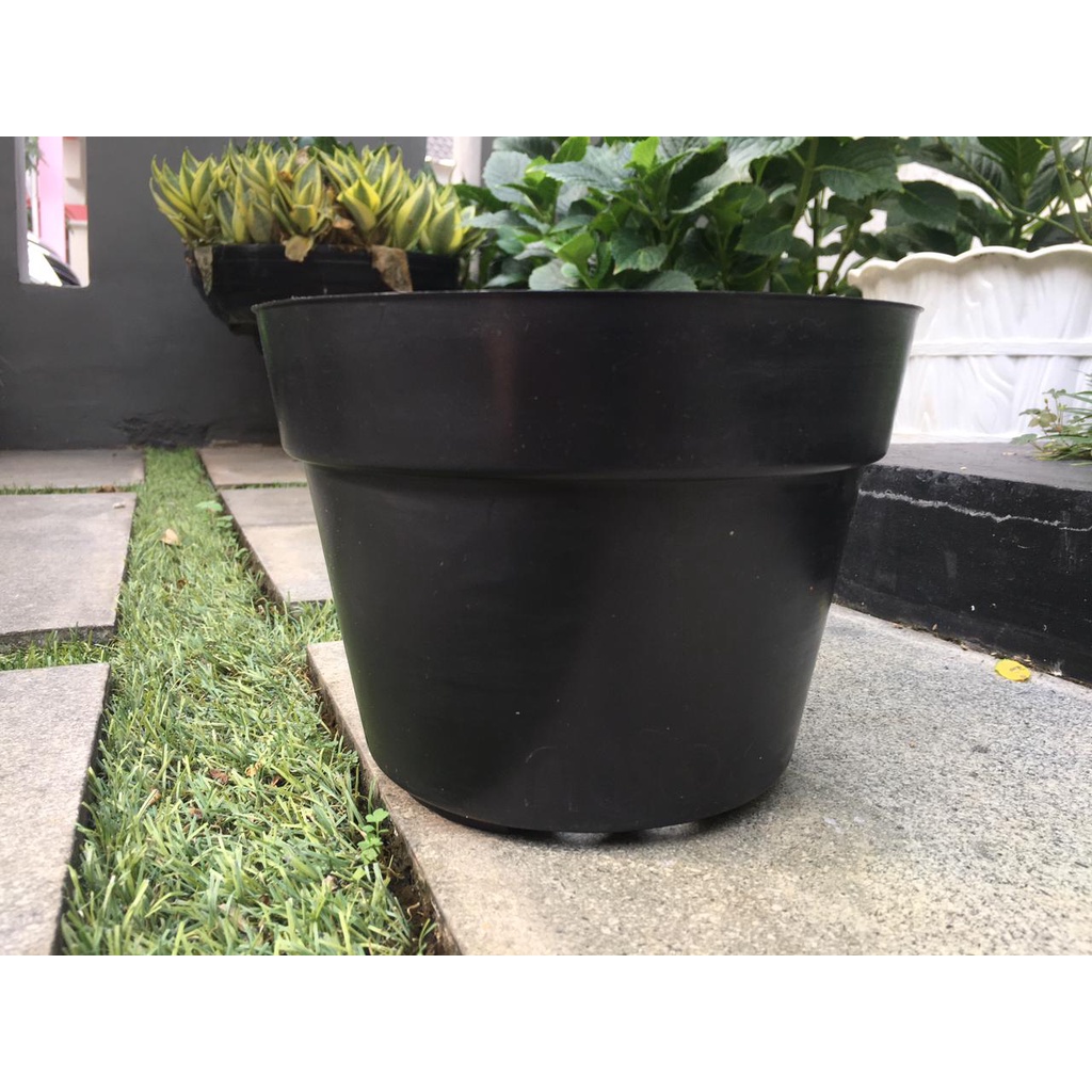 Pot Bunga Murah/Pot Tanaman / Pot plastik hitam uk  20cm