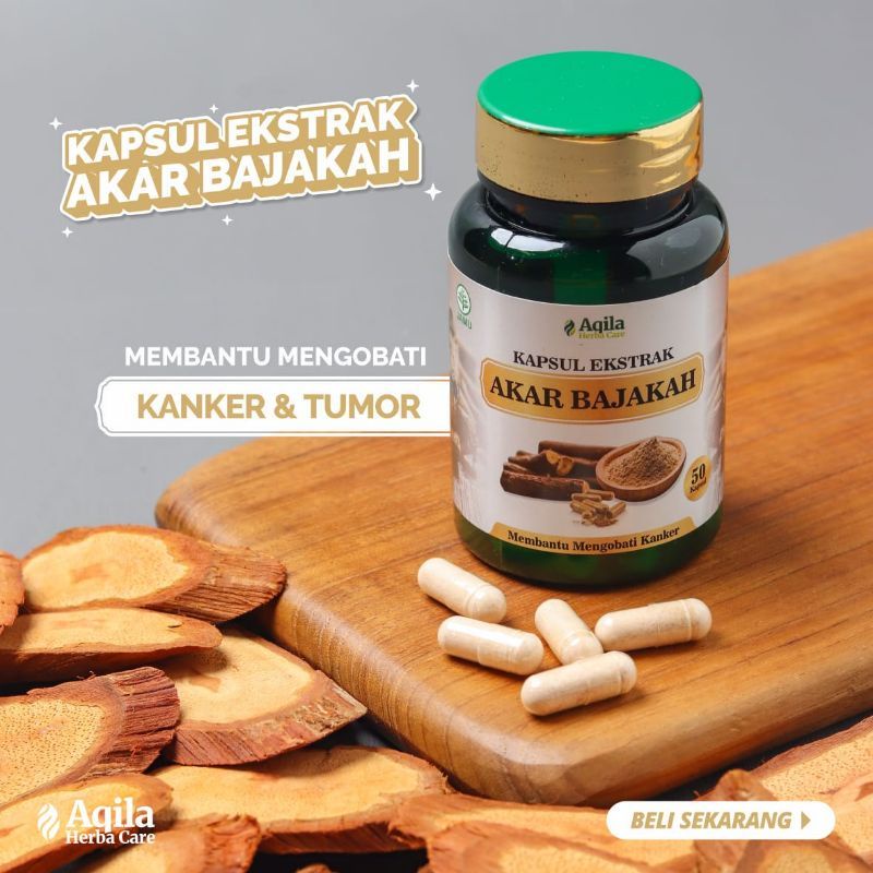 

Kapsul Bajakah Extrak Bajakah Herbal Benjolan Tumor