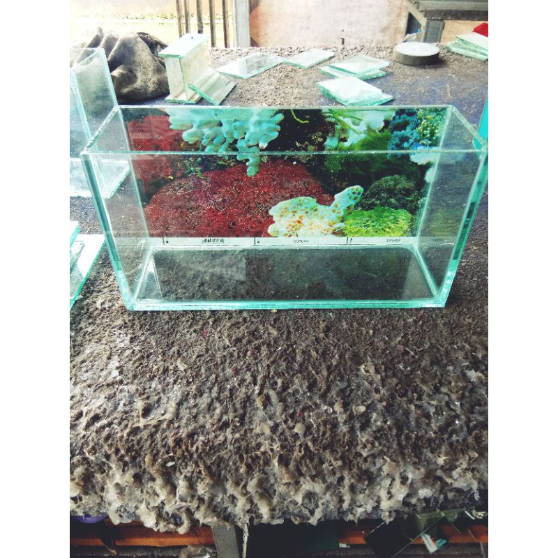 aquarium mini aquascafe mini aquarium kaca