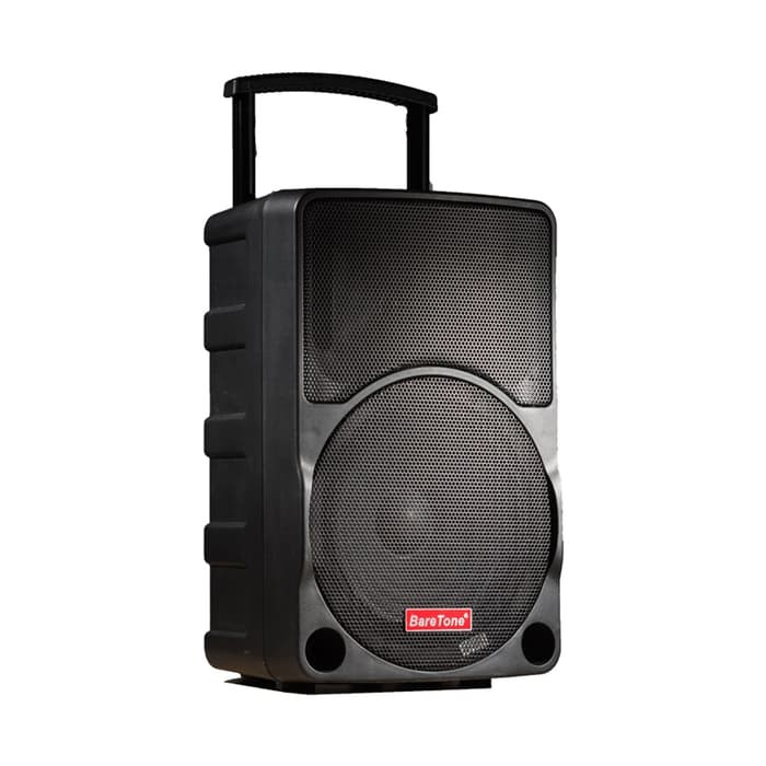 Speaker meeting portable wireless Baretone 10 inch max 10C