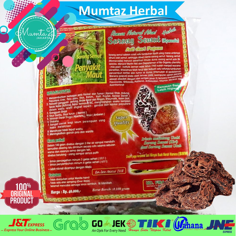 Sarang Semut Papua Sarang Semut Asli Papua Teh Papua Teh Herbal Papua Sarang Semut Rebus