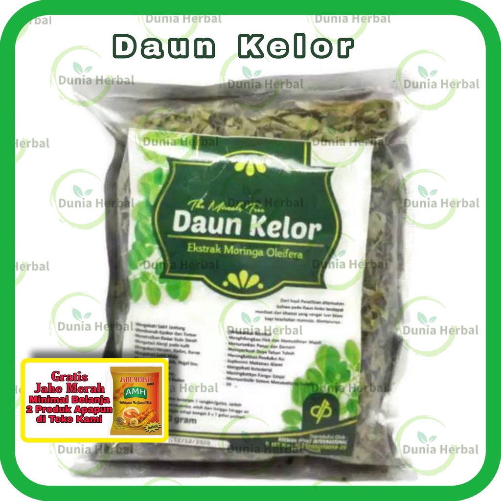

Teh Seduh Daun Kelor - Moringa Oleifera