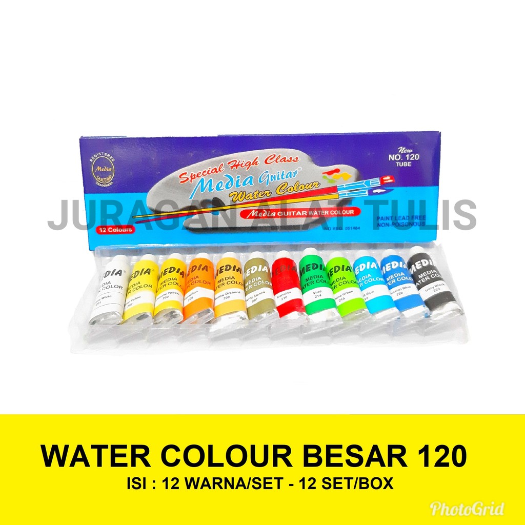 

CAT AIR / WATER COLOUR MEDIA GUITAR NO. 120