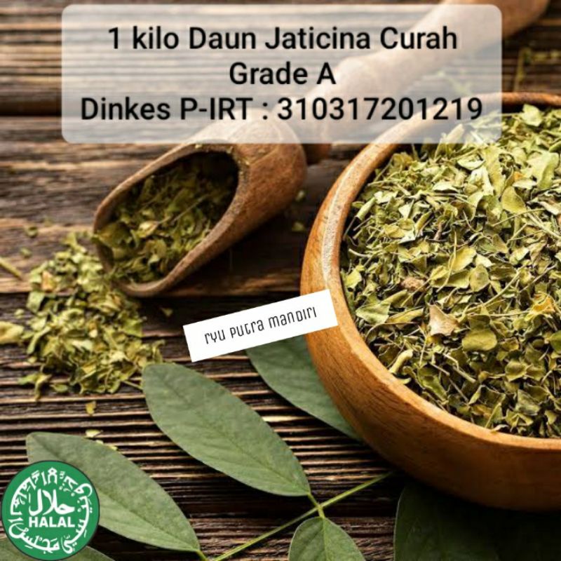

1 Kilo Daun Jaticina Curah Kualitas Super