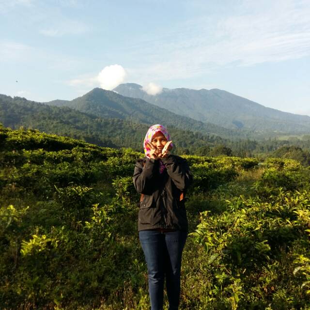 vivi.sftr