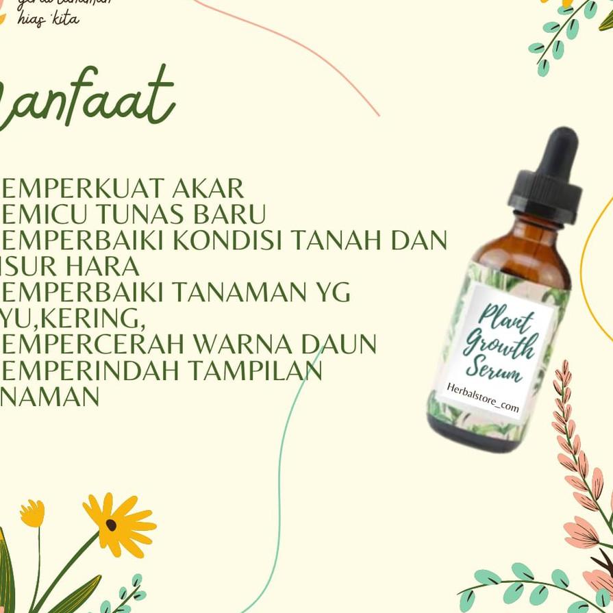 [Kekinian] SET#a-25.☛ SERUM TANAMAN HIAS GROWTH NO BRAND PLANT ALBERO AGLONEMA MONSTERA - MURAH - LE