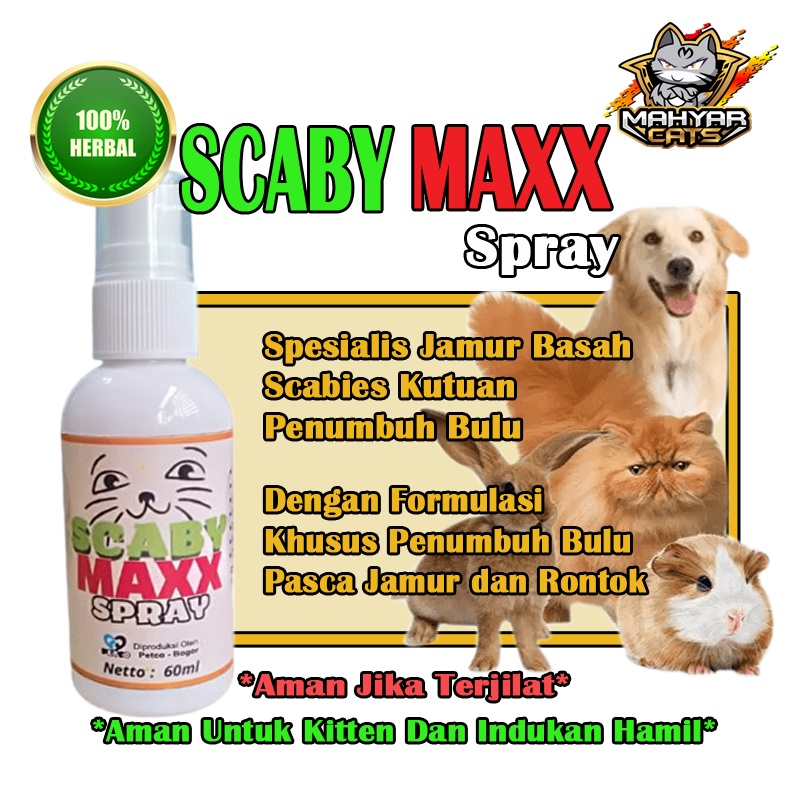 SCABY MAXX Obat Jamur Kucing Obat Kulit Scabies Demodex Impetigo Jamur Kutu Parasit Cacing Hati Gatal Kulit Jamur basah Jamur Kutu kucing anjing kelinci anti scabies by petco