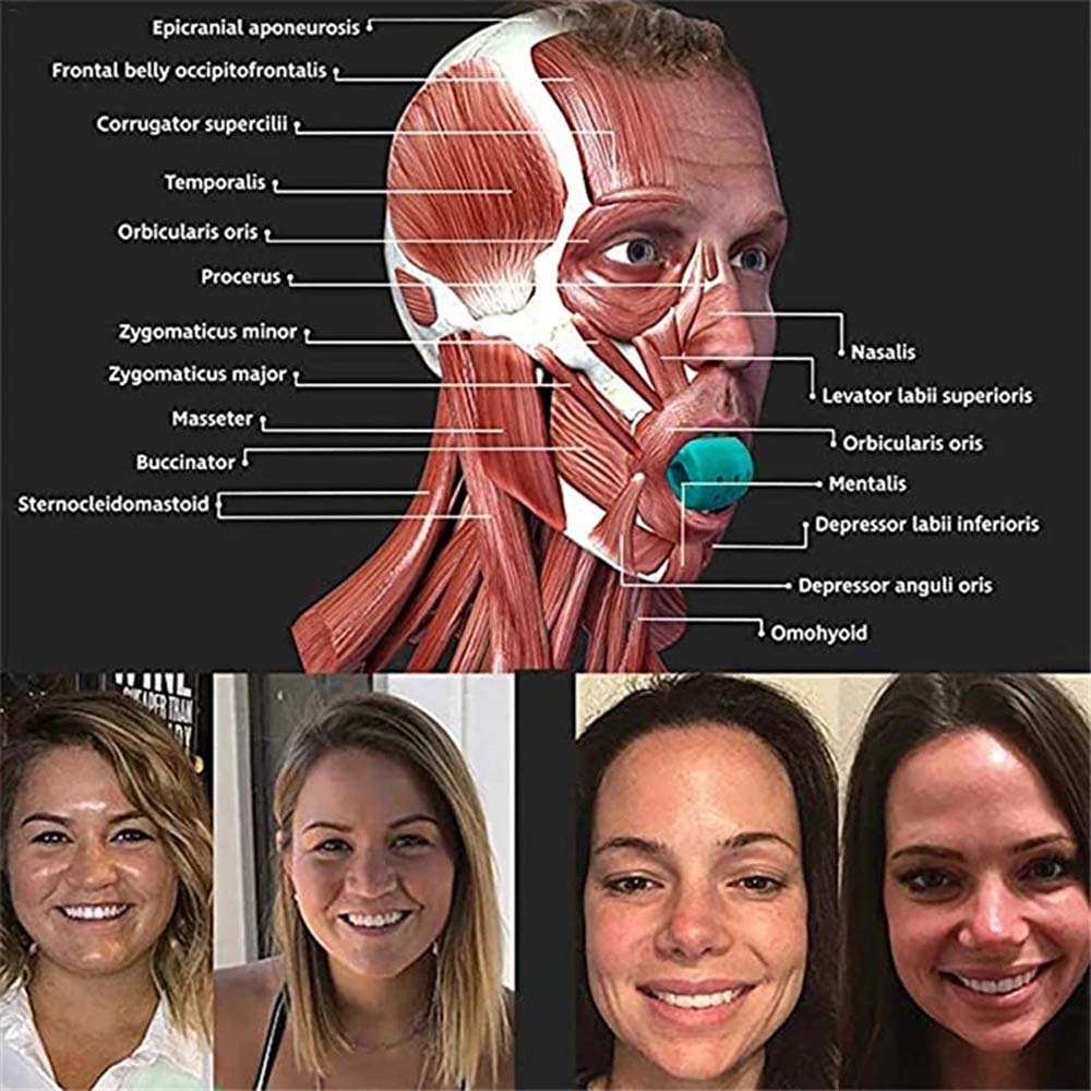 REBUY 30-50Lbs Face Jaw Trainer Neck Mandibular Exerciser Jaw Muscle Exerciser Jawline Fitness Ball Food Grade Silicone Chew Ball Mouth Jawline  Exerciser Chew Device Neck Face-Lift Exercise Bite Muscle Training Jaw Trainer/Multicolor