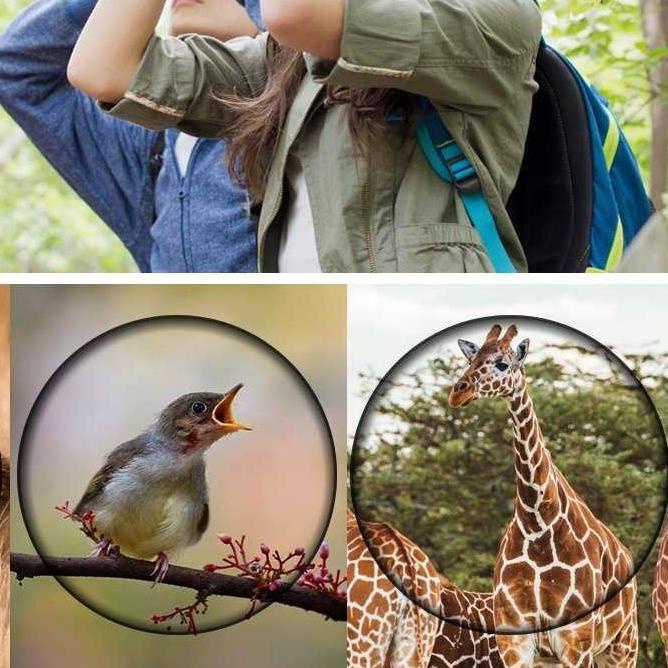 ► TEROPONG Jarak jauh Teropong hp Kekeran Teropong monocular Teropong binocular ☜
