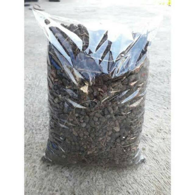 Pupuk kandang kambing 1 kg