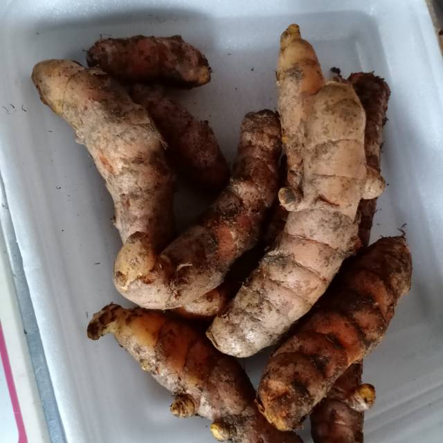 

Kunyit Segar 500 gram