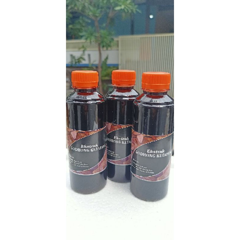 

Ekstrak "GODONG KETAPANG" 250ml