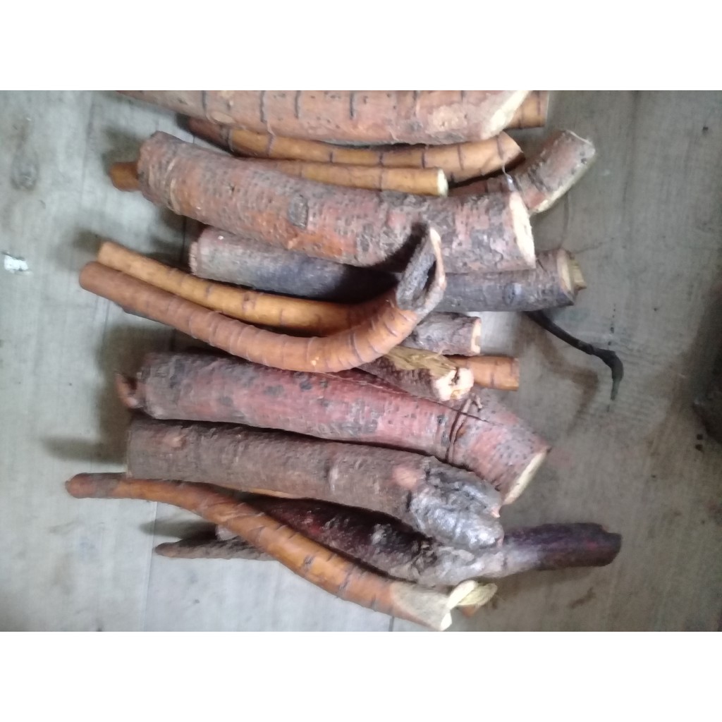 

Akar tuba segar pestisida organik 1 kg