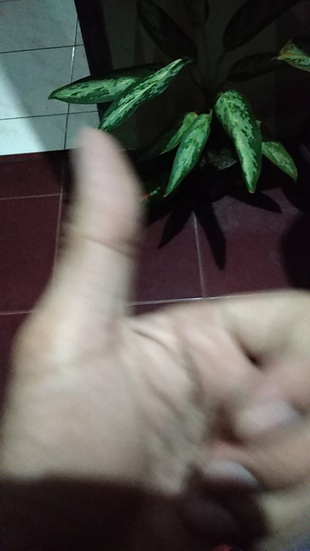 Power Supply Adaptor Switching Trafo Led Strip 12v 5a 12 Volt 5 Ampere