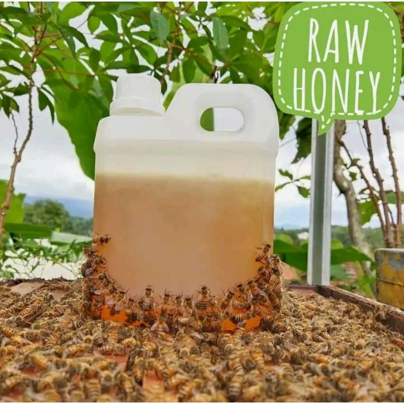 

RAW HONEY KALIANDRA SEMI KOPI