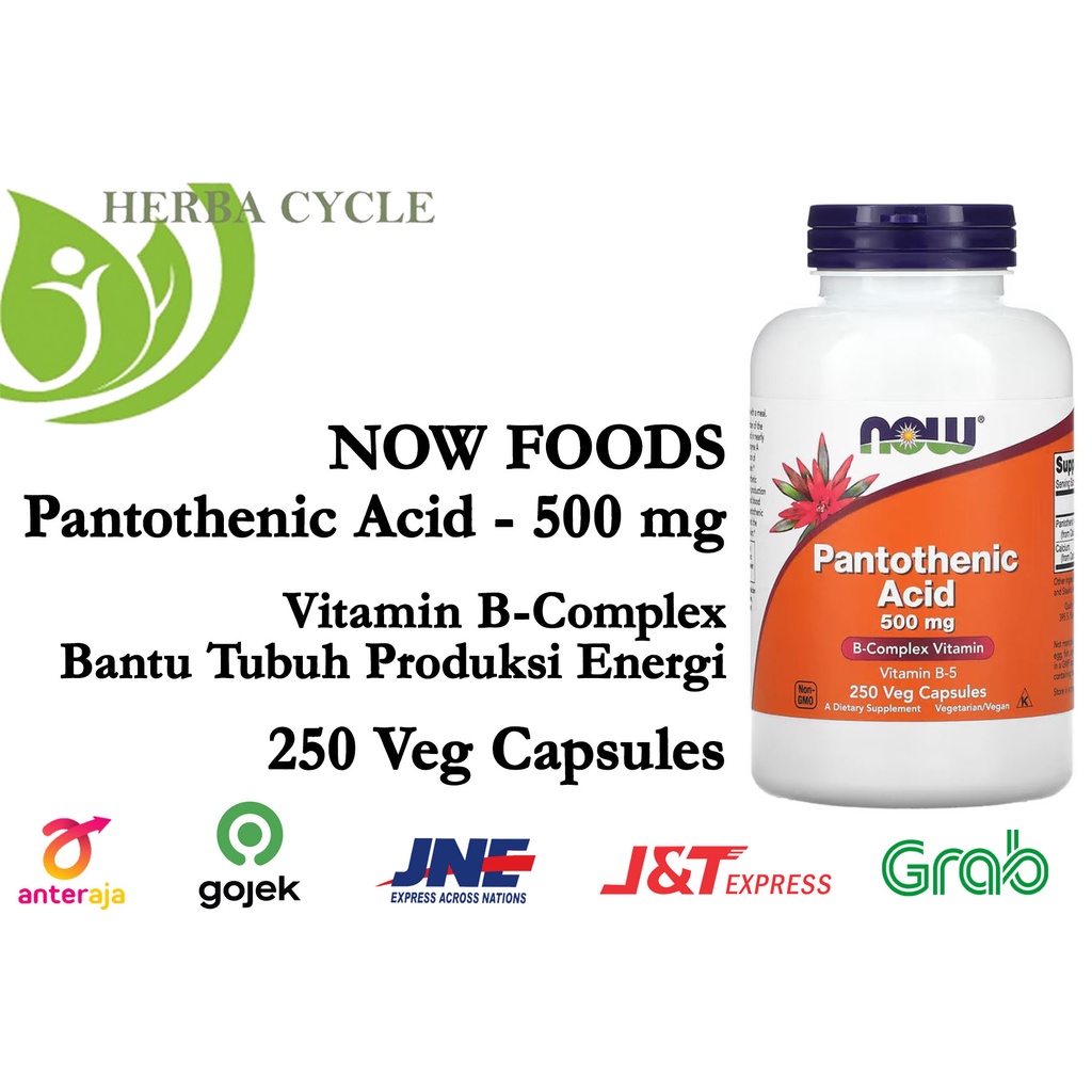 Now Food Pantothenic Acid, 500 mg, 250 Capss NOW Vit B Complex Ori USA