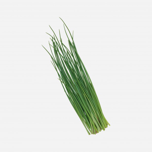 

Kucai Segar 500 gr & 1 kg